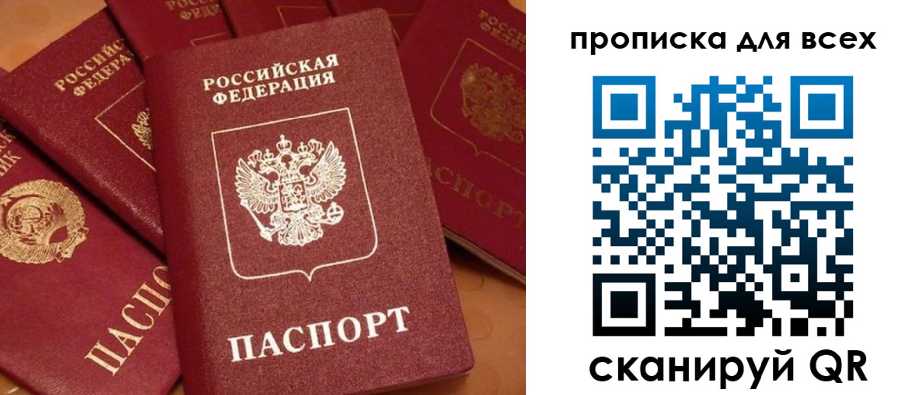 временная регистрация поиск в Камчатской области
